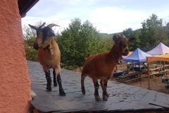 VIAJAR CON NIÑOS EN SEMANA SANTA