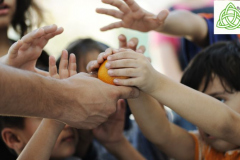 FOTOS PARA CAMPAMENTO EN FAMILIA  - campamento divertido