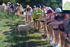 Escolares 2022 - viaje de estudios multiaventura