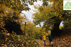 HALLOWEEN 2023 - Casa rural en el Bierzo