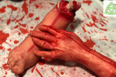 HALLOWEEN 2023 - Grupos (8)