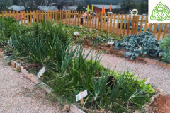 COMPLEJO RURAL EL ARBEDAL  - alojamientos rurales con niños (2)