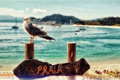 vacaciones y familia en portugal